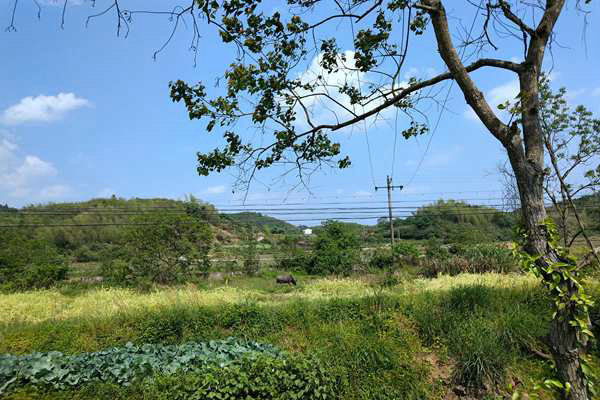 京津冀及周邊地區(qū)出現(xiàn)中至重度污染，多地啟動預警積極應對